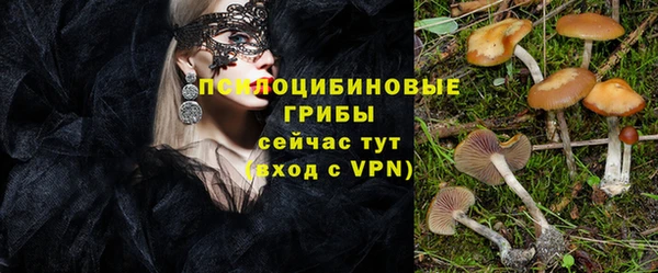 стафф Балабаново