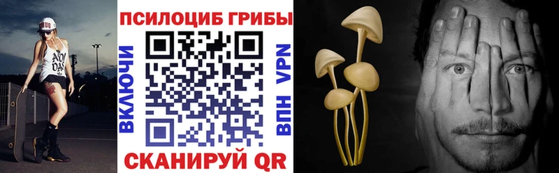 Псилоцибиновые грибы Magic Shrooms Кяхта