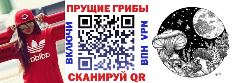 Купить Кяхта Псилоцибиновые грибы мухоморы